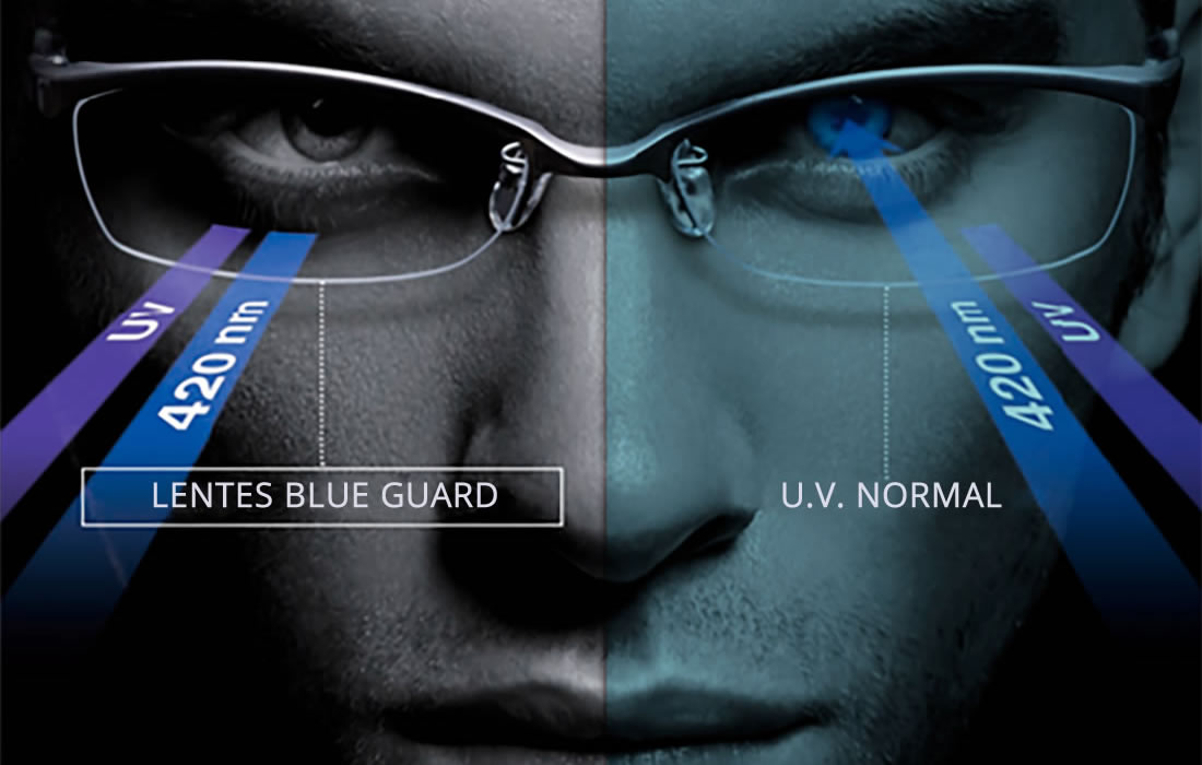 Blue Guard - Master Lab Express